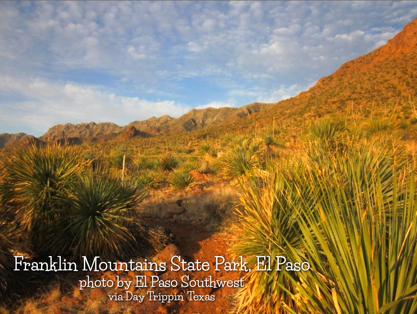 Franklin Mtns by El Paso Southwest