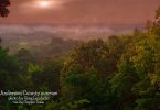 Anderson County Sunrise by Greg Laudadio