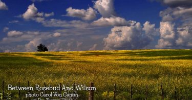 Between Rosebud and Wilson by Carol Von Canon