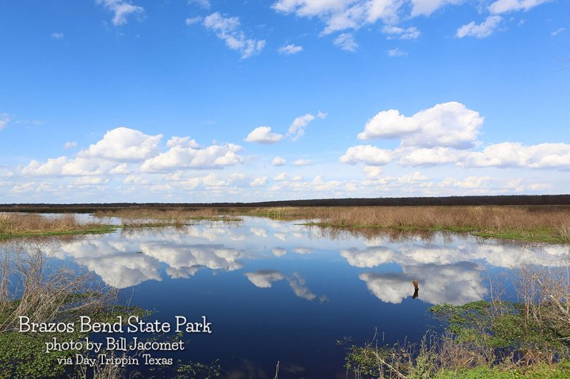 Brazos Bend State Park by Bill Jacomet