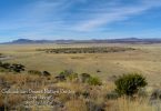 Chihuahuan Desert Nature Center in Fort Davis by Aleyna
