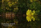 Lake Buescher in Smithville by Jeffrey Lynch