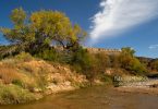 Fall in Palo Duro Canyon by Vonda Higgins