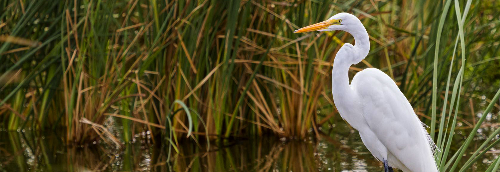 Day Trippin' Texas South Texas